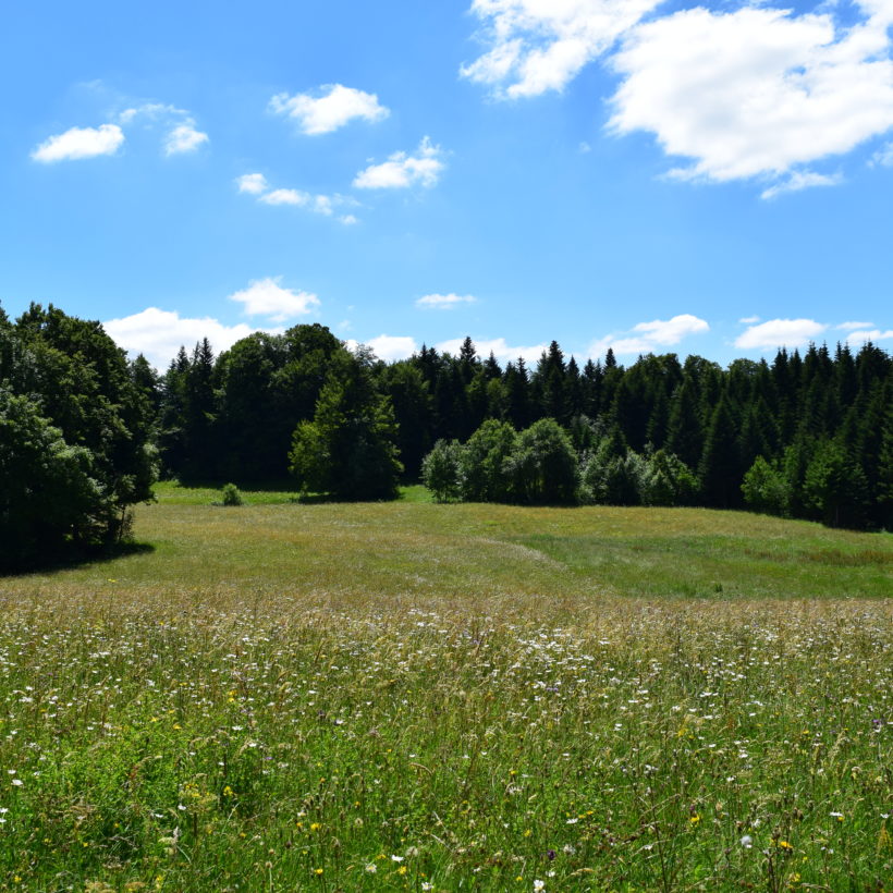 Prairie ©LERET.s